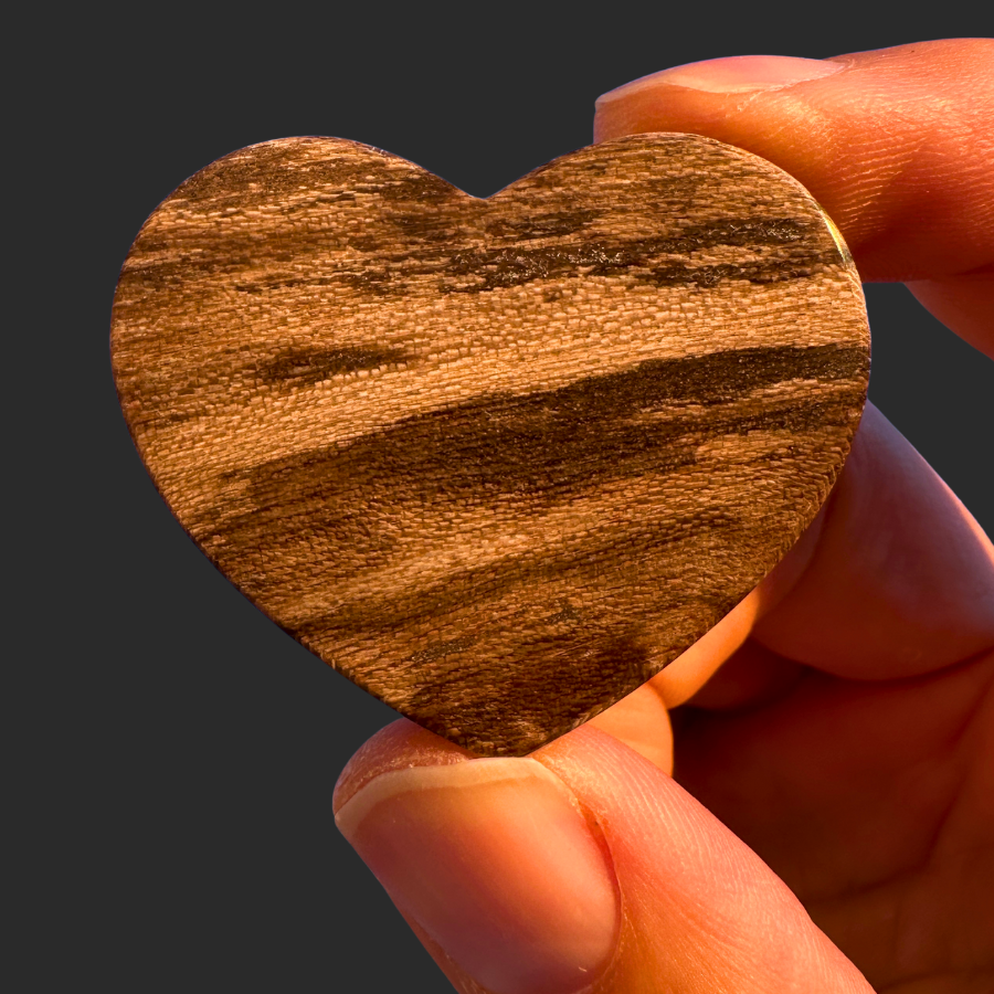 Petrified Wood (Brown)