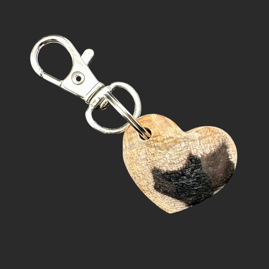 Petrified Wood Keychain