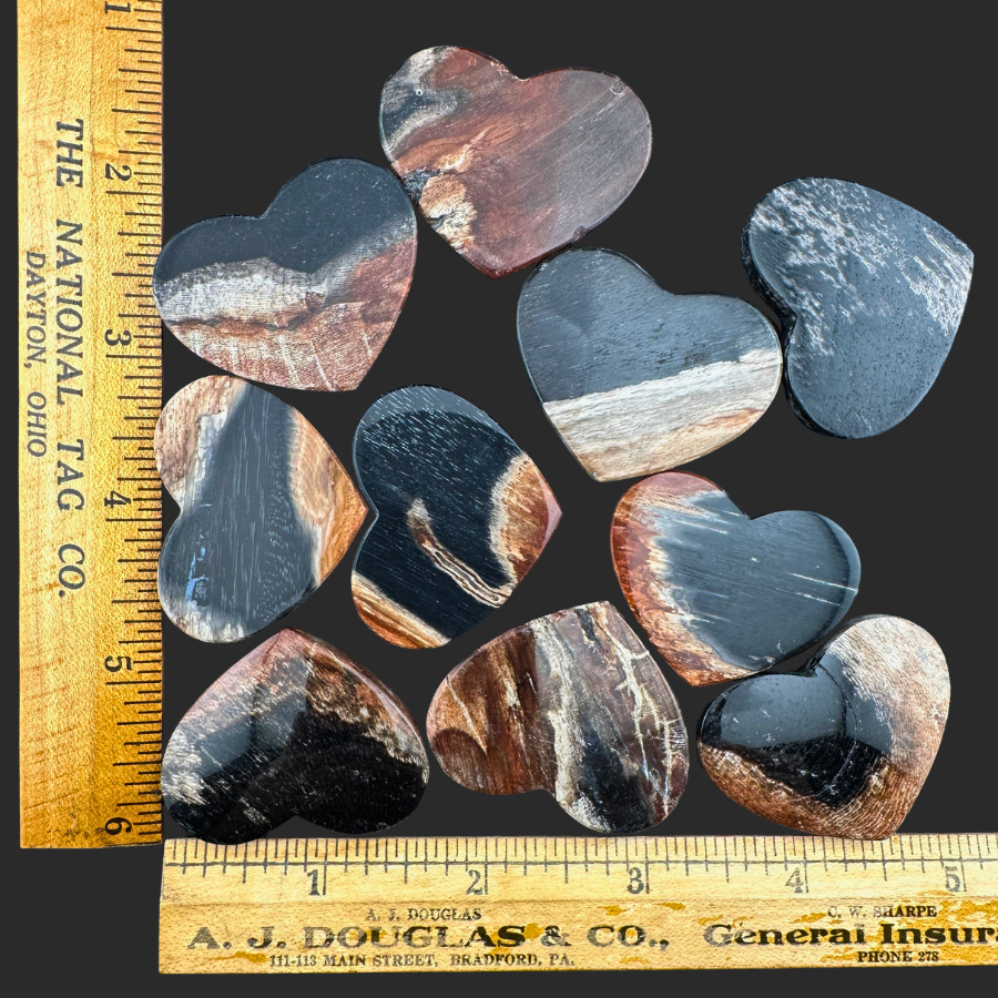 Petrified Wood (Black)