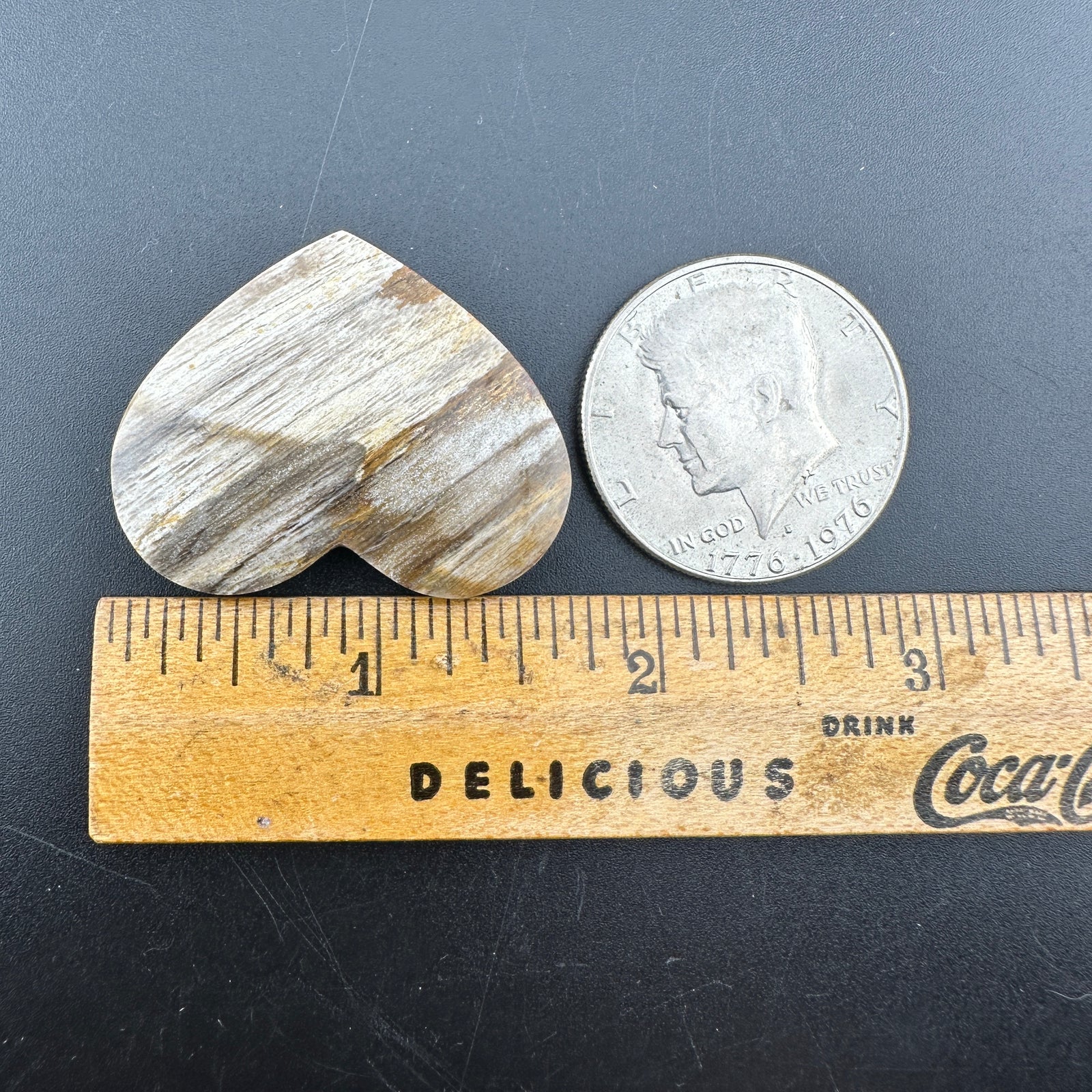 Wholesale: Limited Editions: Petrified Wood