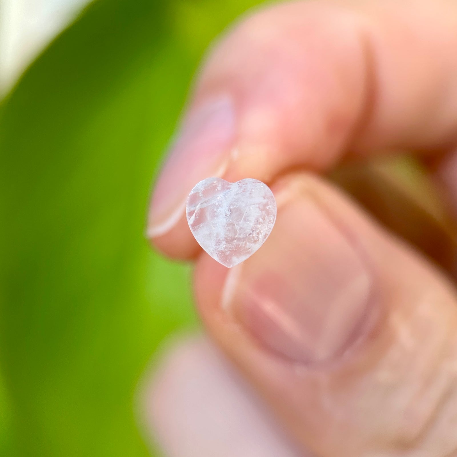 Moonstone Stud Earrings