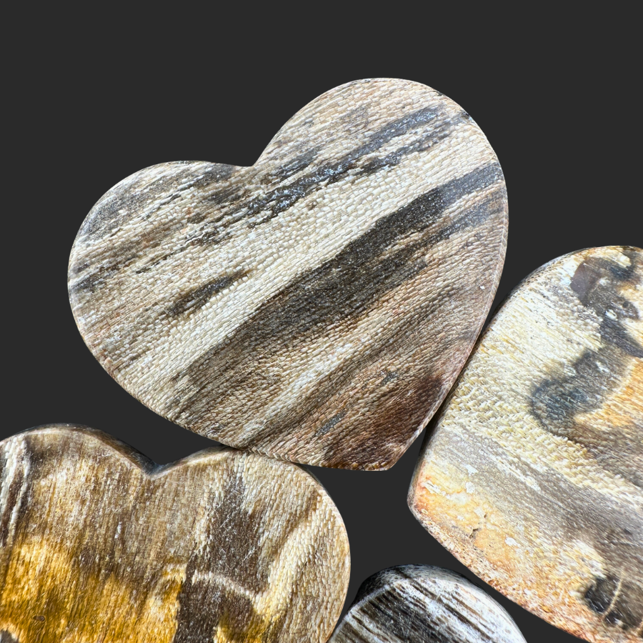 Petrified Wood (Brown)