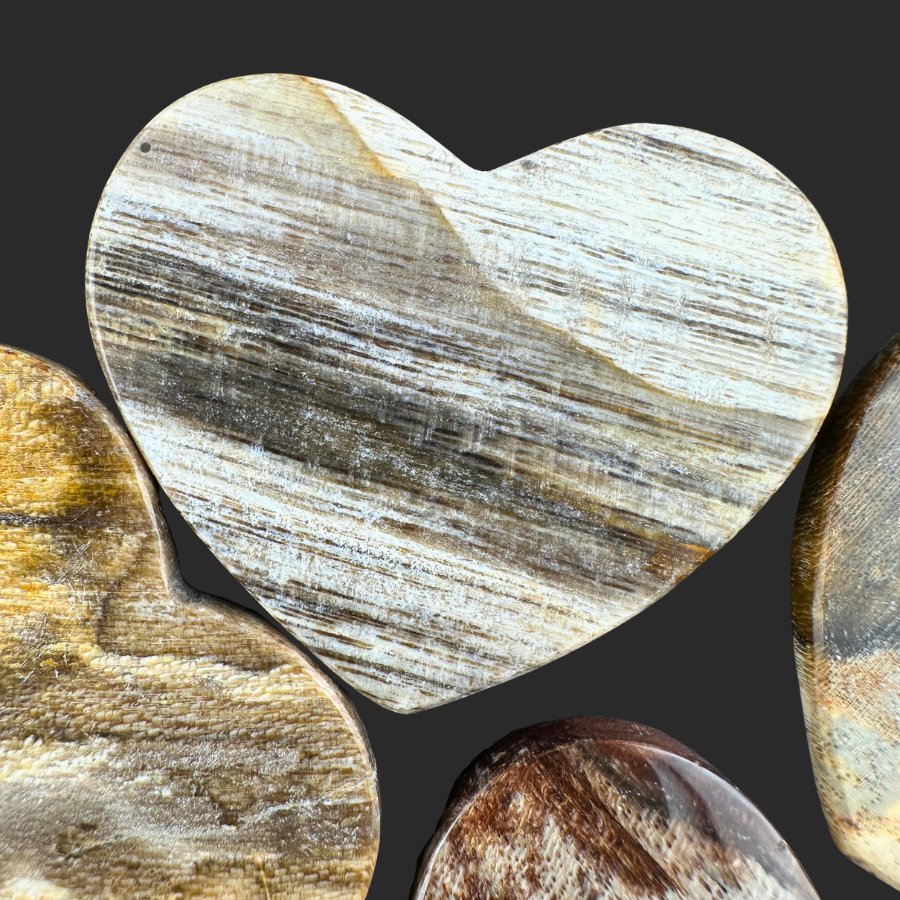 Petrified Wood (Brown)