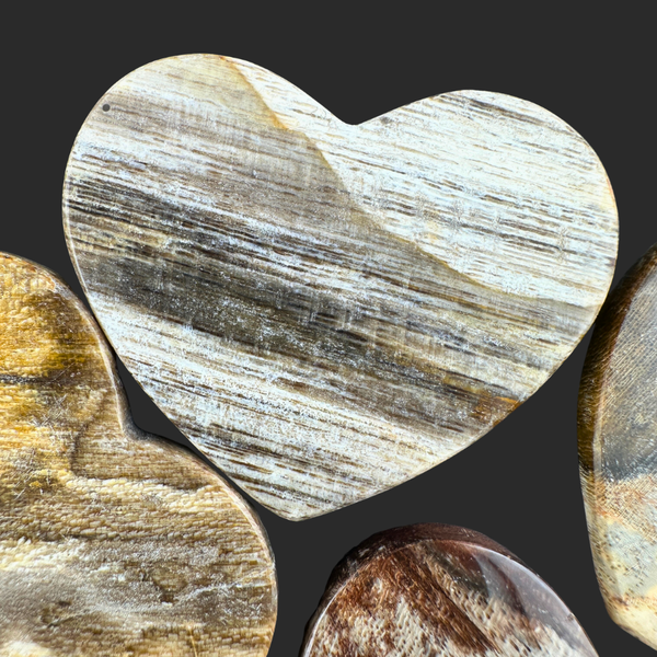 Petrified Wood (Brown)