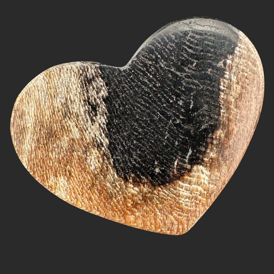 Petrified Wood (Black)