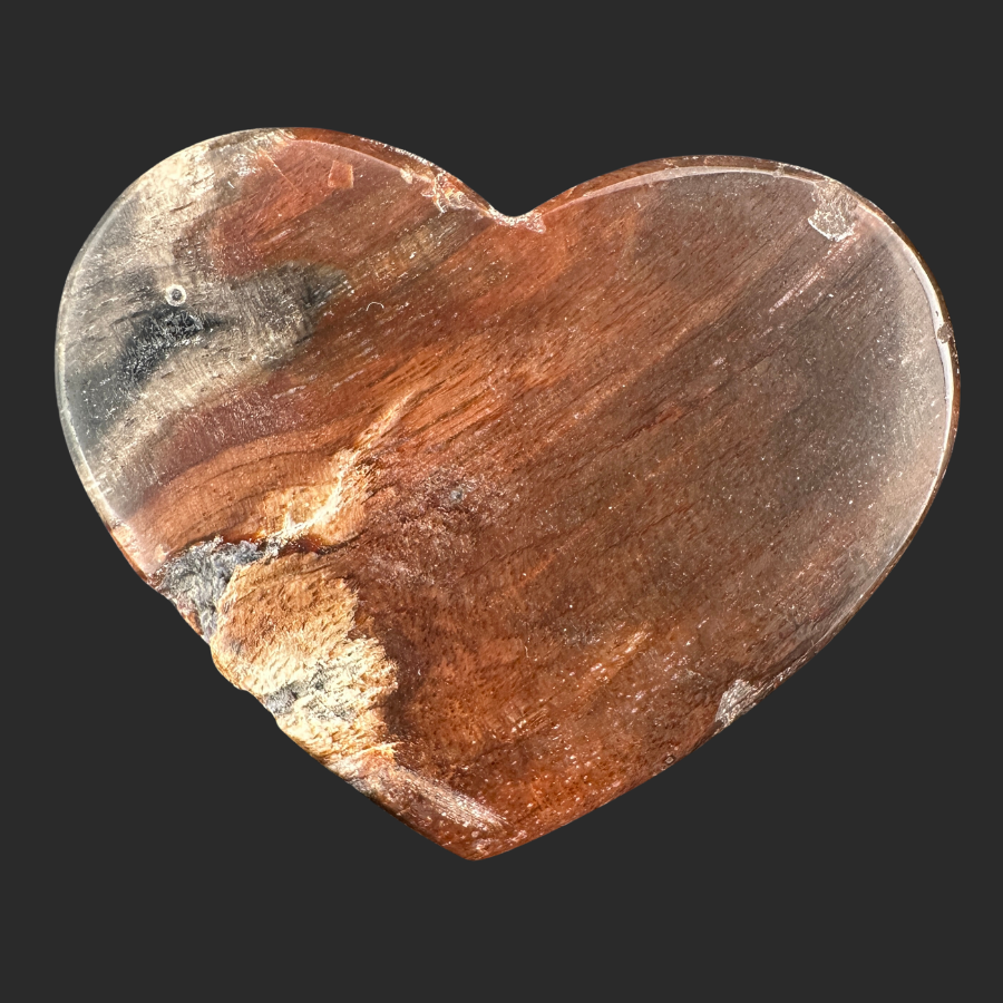 Petrified Wood (Black)