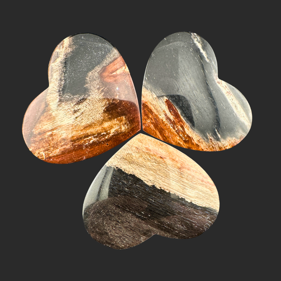 Petrified Wood (Black)