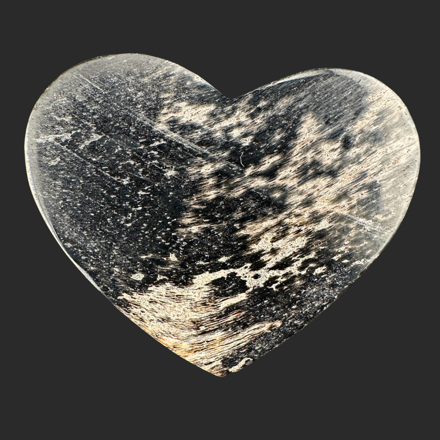 Petrified Wood (Black)