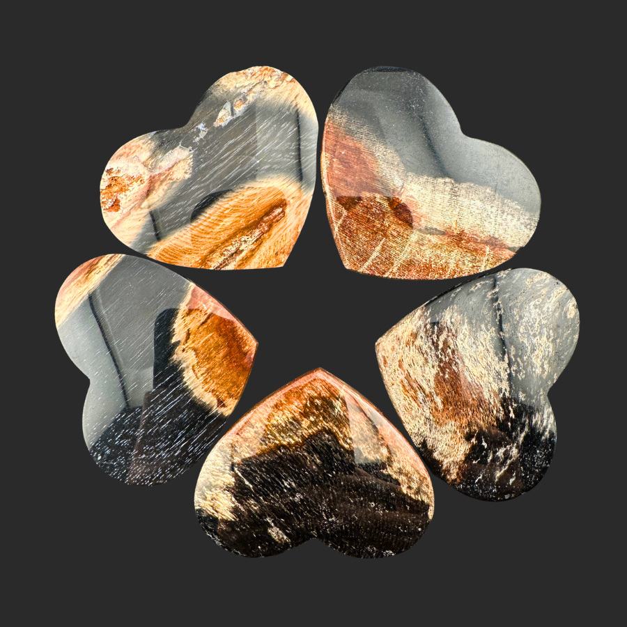 Petrified Wood (Black)