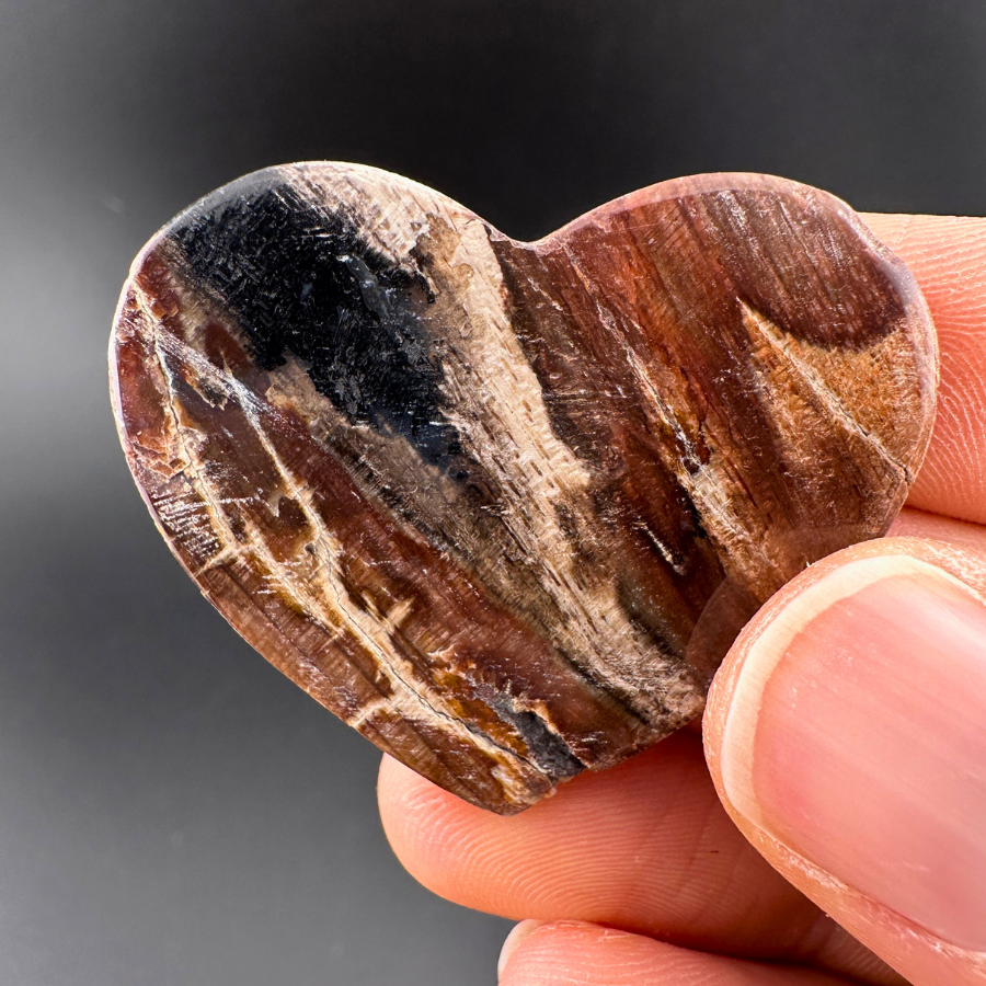 Petrified Wood (Black)