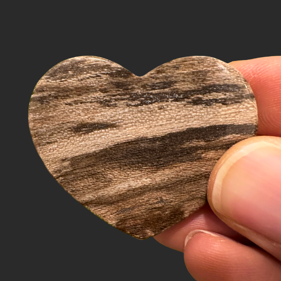 Petrified Wood (Brown)