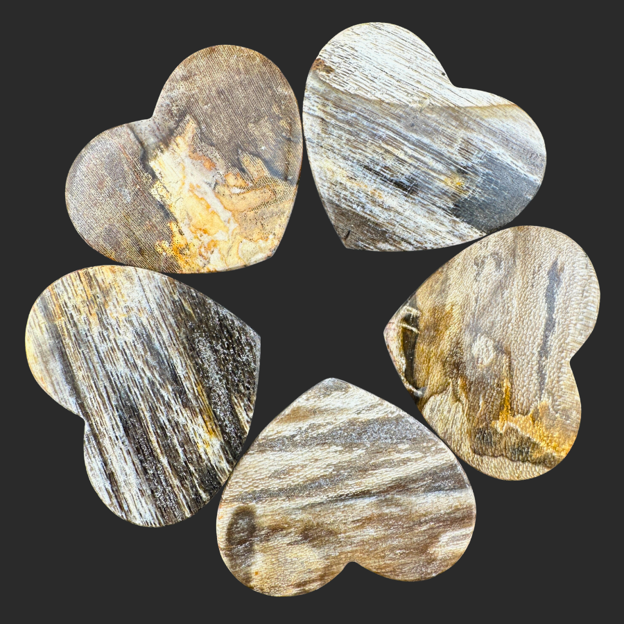 Petrified Wood (Brown)