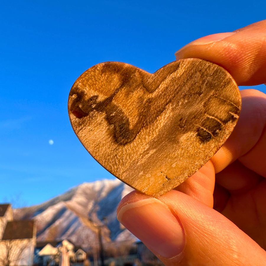 Petrified Wood (Brown)