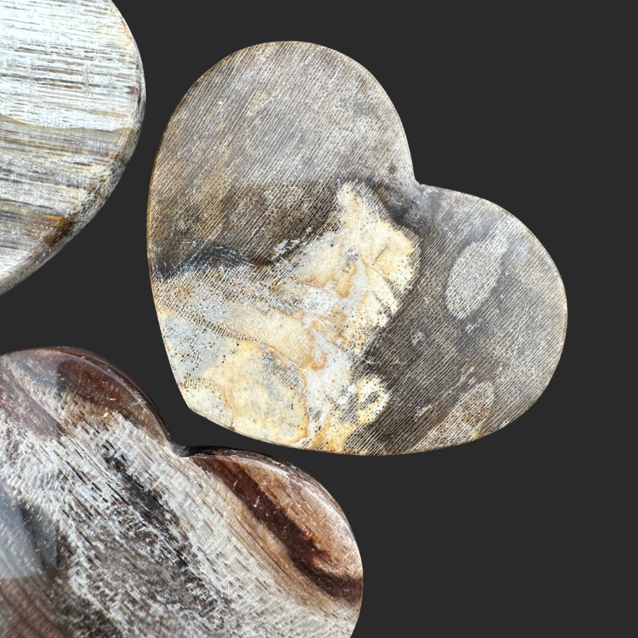 Petrified Wood (Brown)