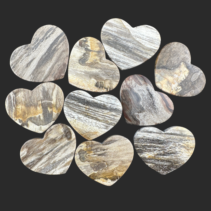 Petrified Wood (Brown)