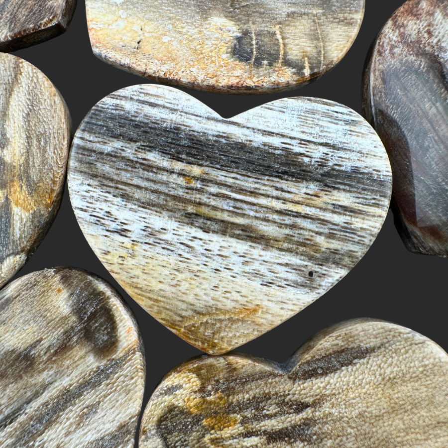 Petrified Wood (Brown)