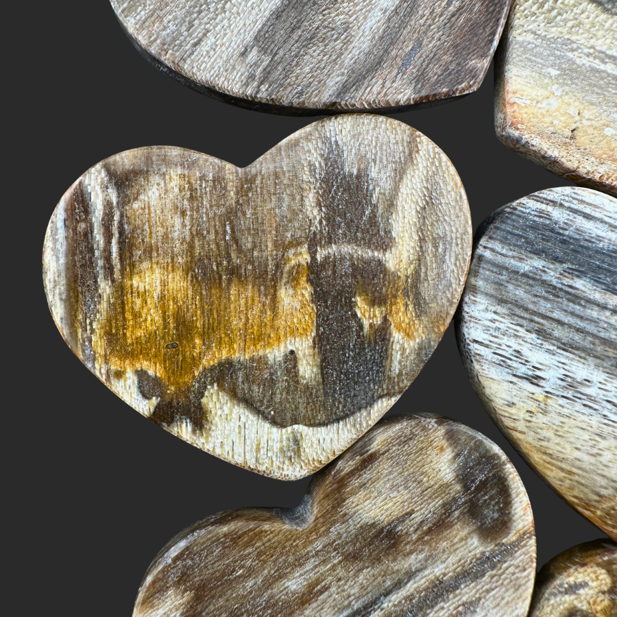 Petrified Wood (Brown)