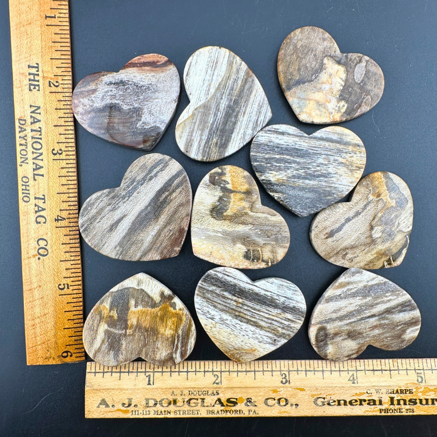 Petrified Wood (Brown)