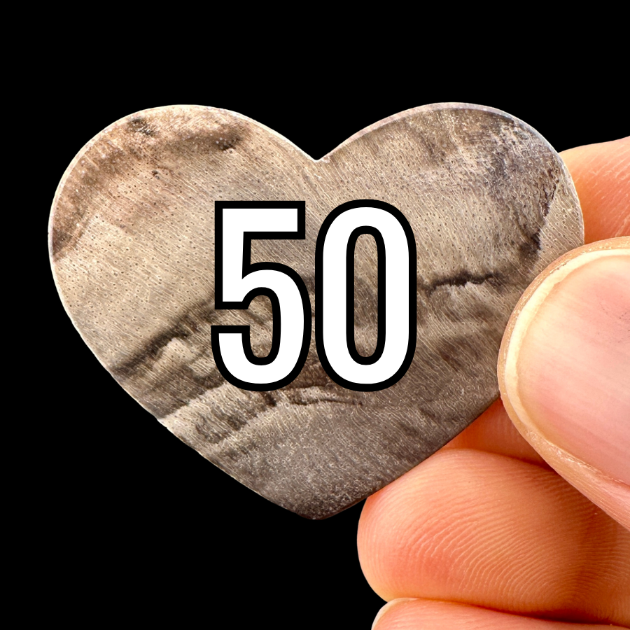 Wholesale: Limited Editions: Petrified Wood