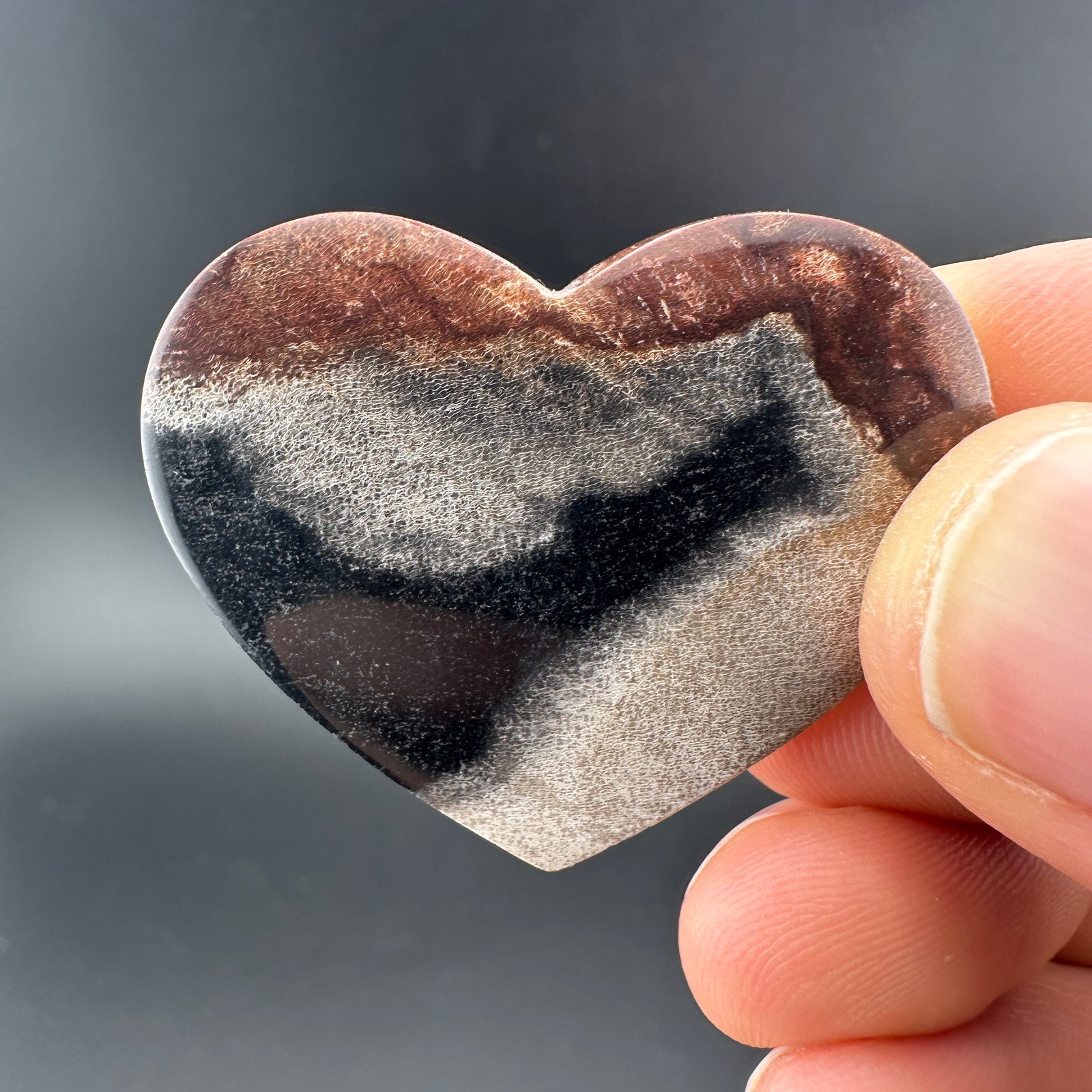 Petrified Wood (Black)