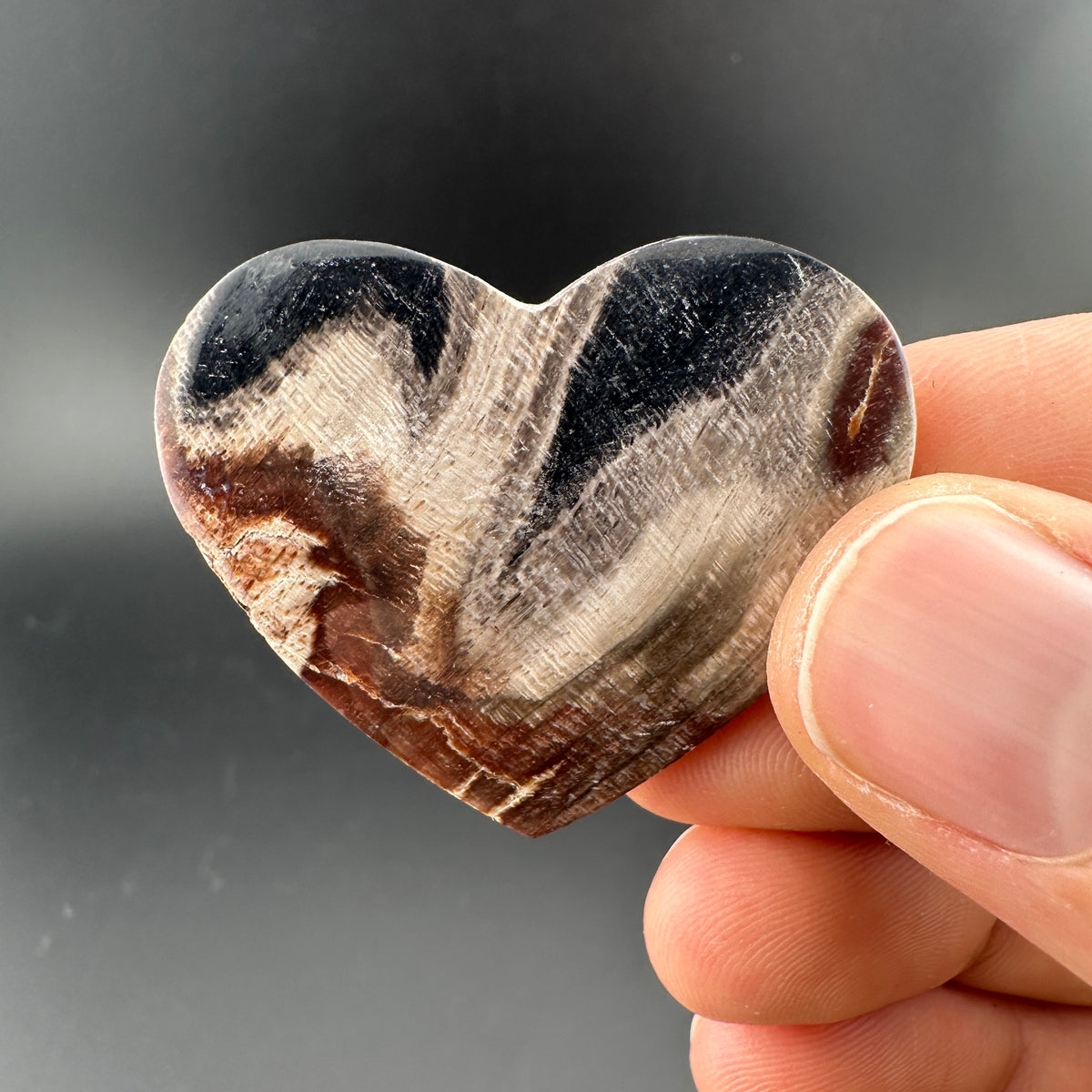 Petrified Wood (Black)
