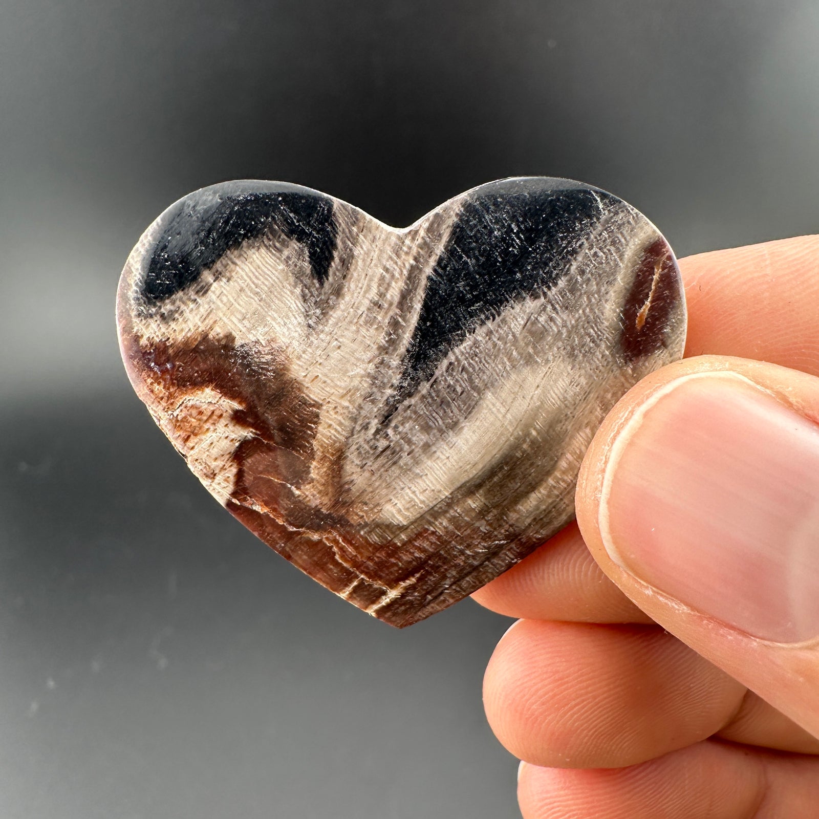 Petrified Wood (Black)