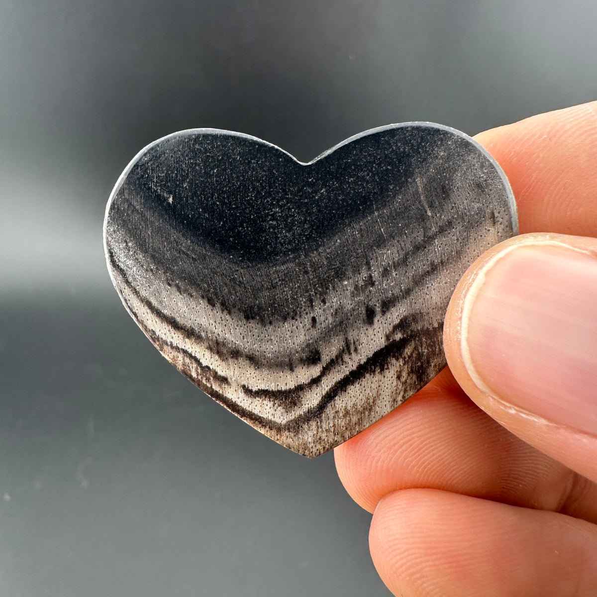 Petrified Wood (Black)