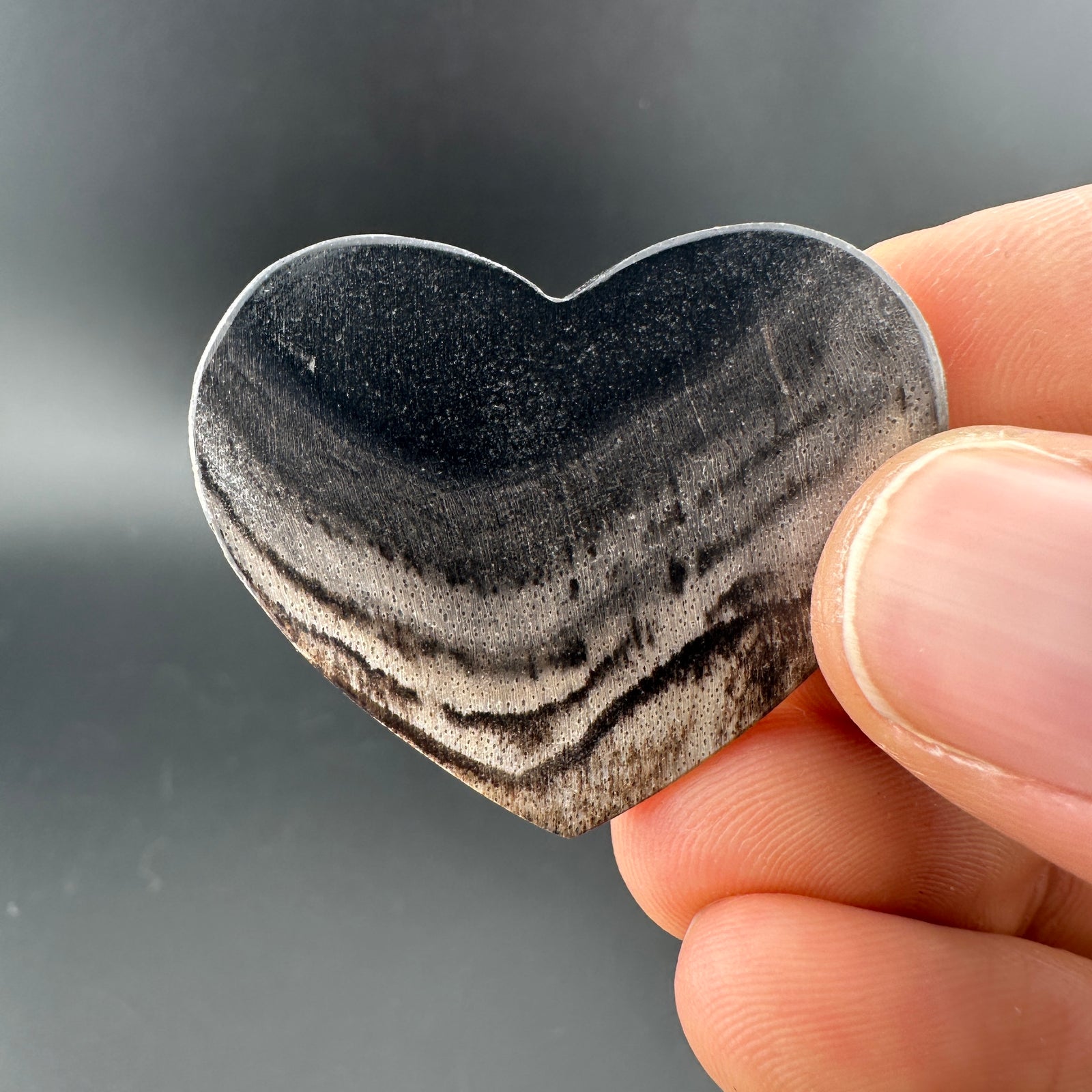 Petrified Wood (Black)