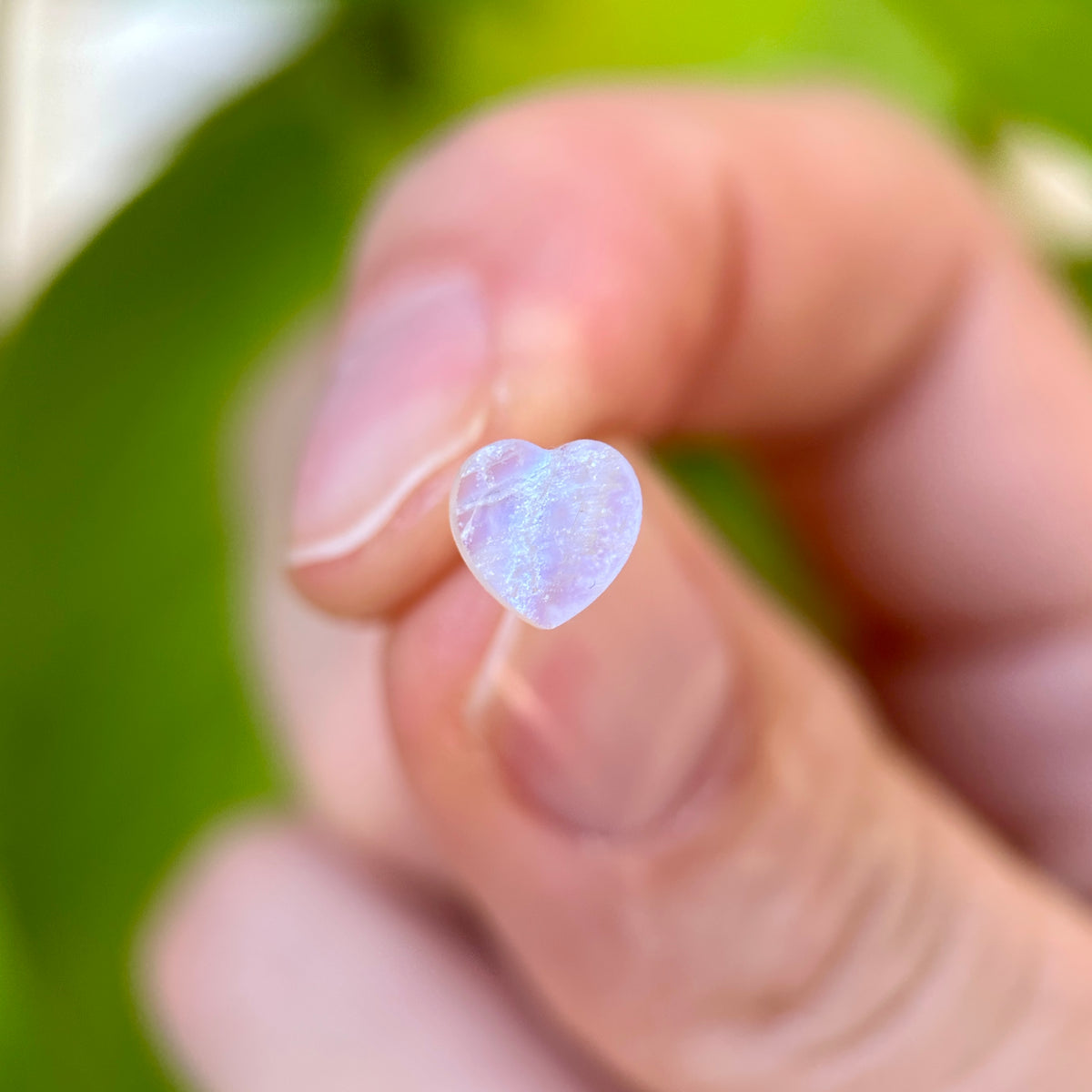 Moonstone Stud Earrings