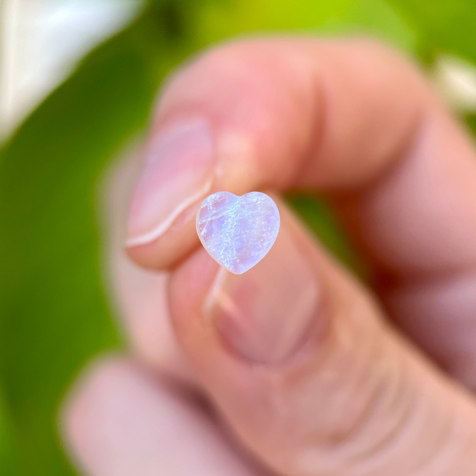 Moonstone Stud Earrings